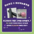 소도구 필라테스-주간 이미지