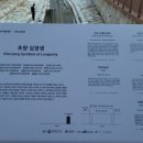 초량십장생 - 초량 이미지