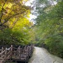 입석사 - 1337 | 치악산 최단코스 (황골탐방지원센터 ~ 입석사 ~ 비로봉 ~ 원점회귀) 등산 후기