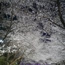 쌍계1교 이미지