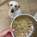 다비다펫푸드 이미지