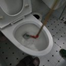 청룡동-29 이미지