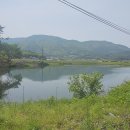 대한다원 이미지