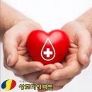 상조다이렉트