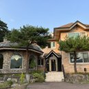 강릉애 진심 이미지