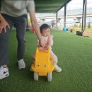 목장053 | 대구 아이랑 가볼만한곳 - 053목장(내돈내산 솔직후기)