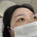 채니 - 용산구 한남대로28가길 23 | 정발산 속눈썹펌::채니래쉬 속눈썹펌/블랙틴팅 솔직후기