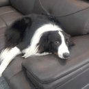 신세기주유소 이미지