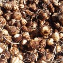 뜨락농장 이미지