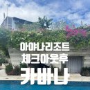 카체크 - 거제시 국산로 13 | 26발리)DAY13. 아야나 체크아웃후, 사카뮤지엄,카바나,스파 이용후기
