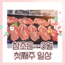 (주)우리조은