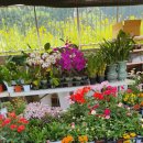 예나농장 이미지