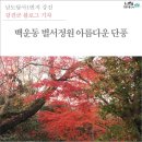 남해 Season | 전남 강진군 꼭 가봐야 할 여행지 BEST 5 🌿 자연·역사·감성이 공존하는 힐링 코스