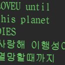 안동상회 이미지