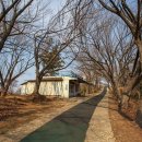 구불6길(달밝음길) 이미지