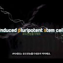 IPS 이미지