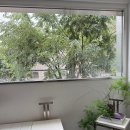 웰컴레인 | [마인드오버바디 웰컴레인]새벽 비가 그친 후, 공기가 맑아지는 순간의 향☔️