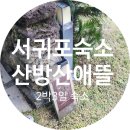 산방산애뜰 | 제주도 서귀포 2박3일 숙소 추천 산방산애뜰 더뜰 프라이빗 힐링 장소