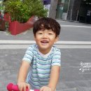 옥길자이어린이집 | 추석맞이 꽃단장 헤어슈슈