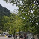 호숫가의아침 | 할슈타트 호숫가 아담하고 조용한 카페 'Seecafe Hallstatt'