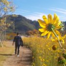 청솔카클리닉 이미지