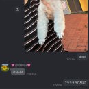 퍼피안 | 강아지미용 반려동물미용 청주 율량동 애견미용샵:: 청주 퍼피안 (puppyan)