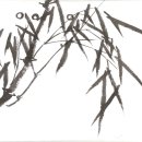 바람을엮다