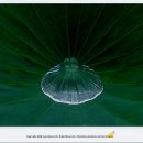 너른마당 이미지