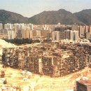 구룡유치원 이미지