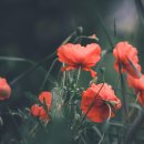 지우한의원 이미지