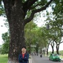 왕궁가든 이미지