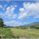 동호솔숲 이미지