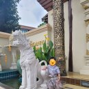 자오헤어 | 아이와 치앙마이 태국 전통의상 대여 내돈내산 후기-왓 쩨디 루앙 사진 찍기 좋은 반오르자오 추천