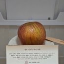 영주 여행 | 영주역 도보 20분, 남선스테이 머문 후기(카페, 조식 만둣국, 웰컴 와인, 스타일러)