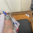 제일튼튼의원 네이버블로그