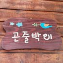 연천-3 | 고대산 자연휴양림 | 연천 1박2일 곤줄박이 3인 가족 후기