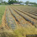 초지강화공인중개사사무소 이미지