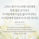 체크롯데월드몰점 이미지
