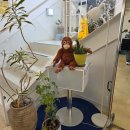 임실공영주차장 이미지