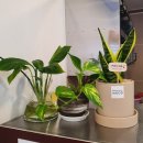 희야랑국시 이미지