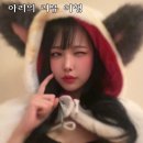 유미컴퓨터세탁 | 라이엇 스토어 리그오브레전드 내돈내산 리뷰 | 아리 후드망토 (후드담요)