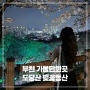 춘의역 (8번 출구) | 부천 도당산 벚꽃축제 벚꽃동산 가는길 개화율 실시간 야간 방문 후기(2026.04.08)