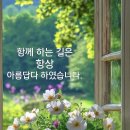 장미김 방장님을 생각하면서^^♡ 이미지