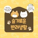 슬기로운펫생활