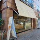 라리아 | 강남역 근처 소금빵 맛집 비아살라리아 내돈내산 후기