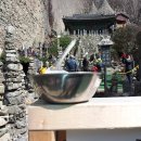 마이산청소년야영장 Daum카페