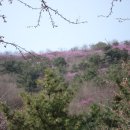 자은초등학교 이미지