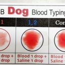 씨엘메디칼 이미지