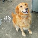 홍 - 하남시 미사강변북로 32 | 홍