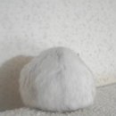 동글동글 이미지